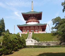 The Daito Pagoda towers majestically behind the main tier of the Narita-san Shinjoji Temple. // © 2010 Pride Travel/S. Nathan DePetris_s